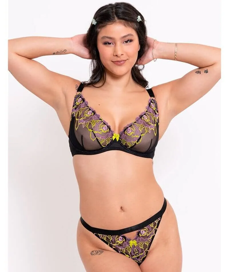 Curvy Kate Stand Out Scooped Plunge Bra - Black Multi