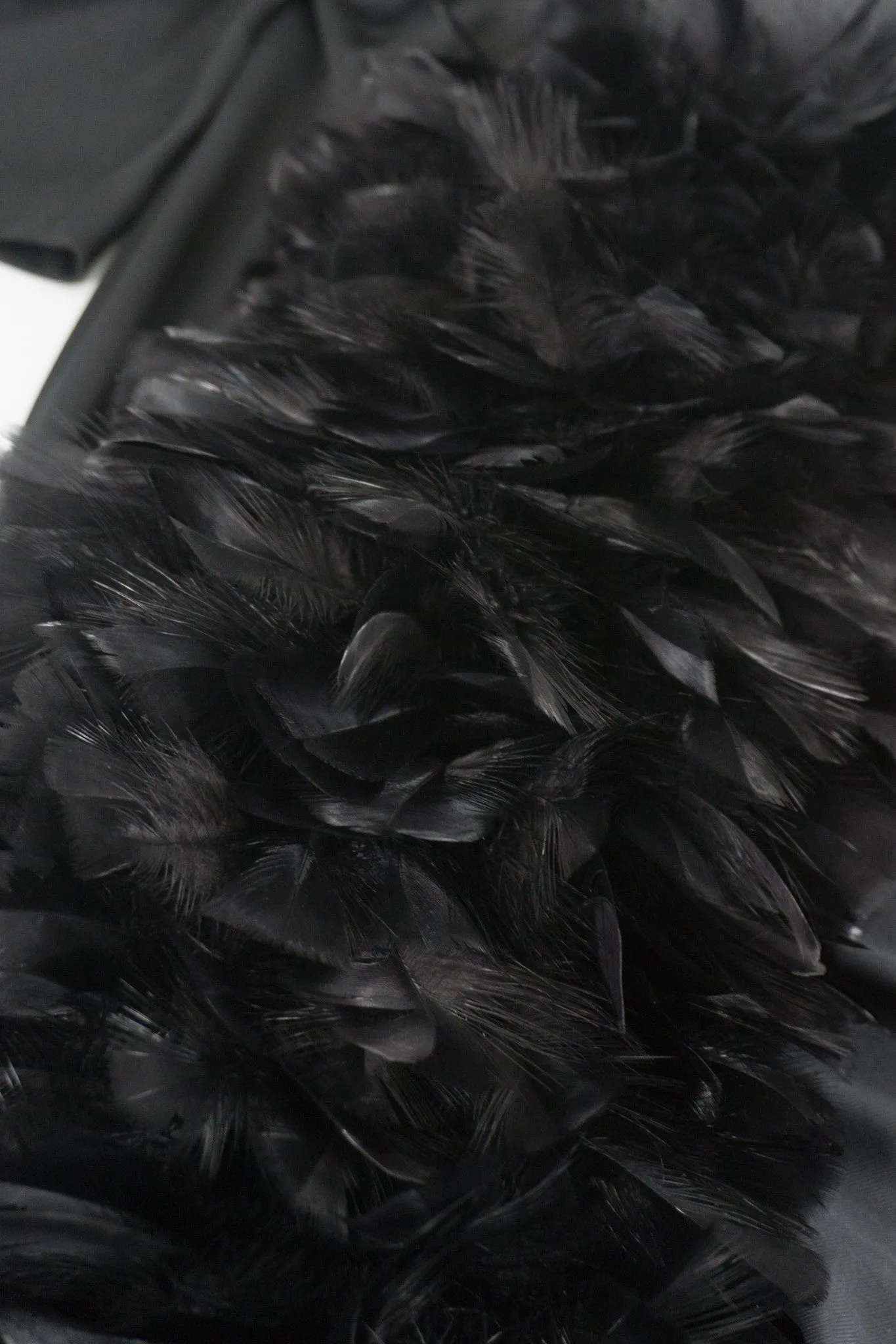 Feather Hem Dress