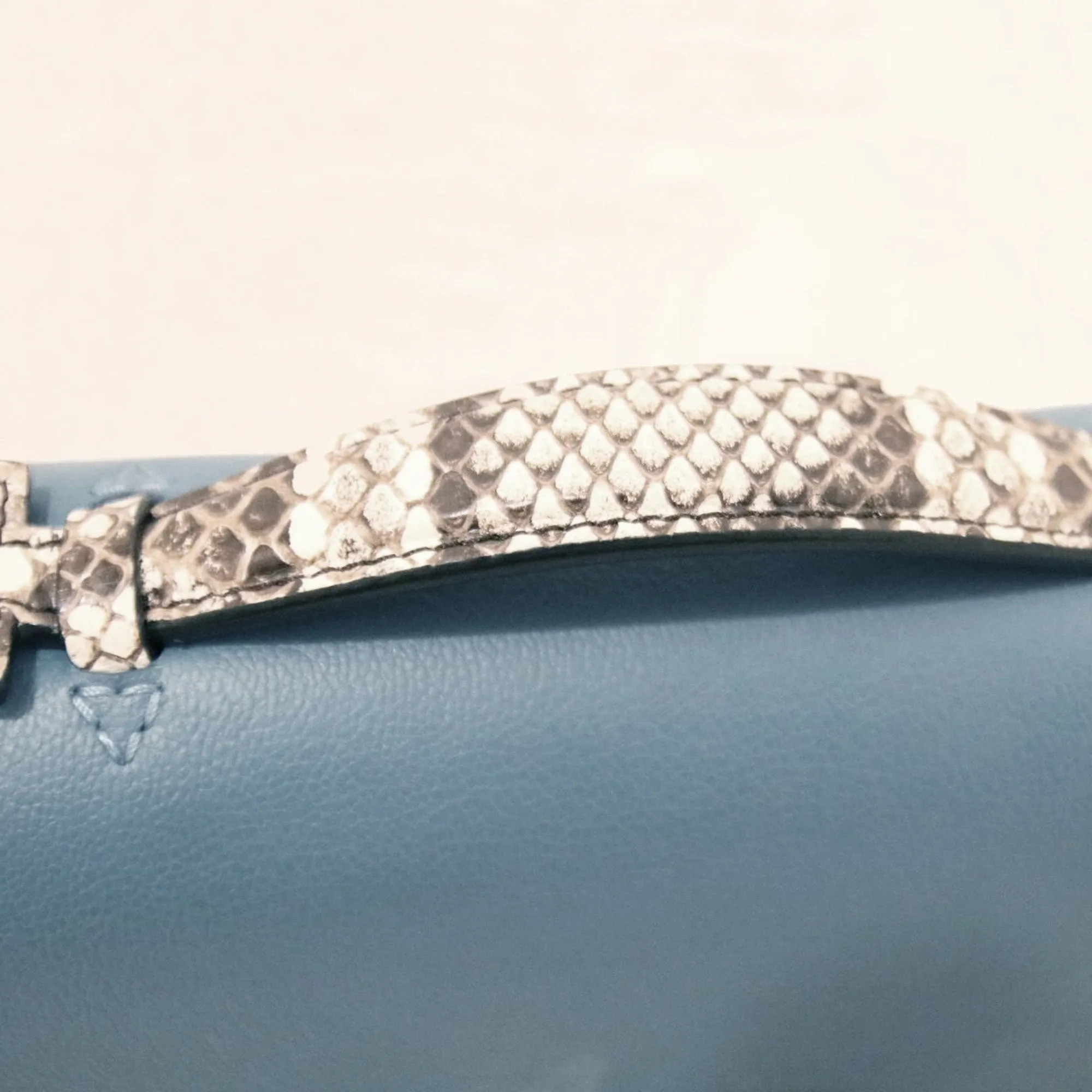 Louis Vuitton | Python Very Chain Bag | Pastel Baby Blue