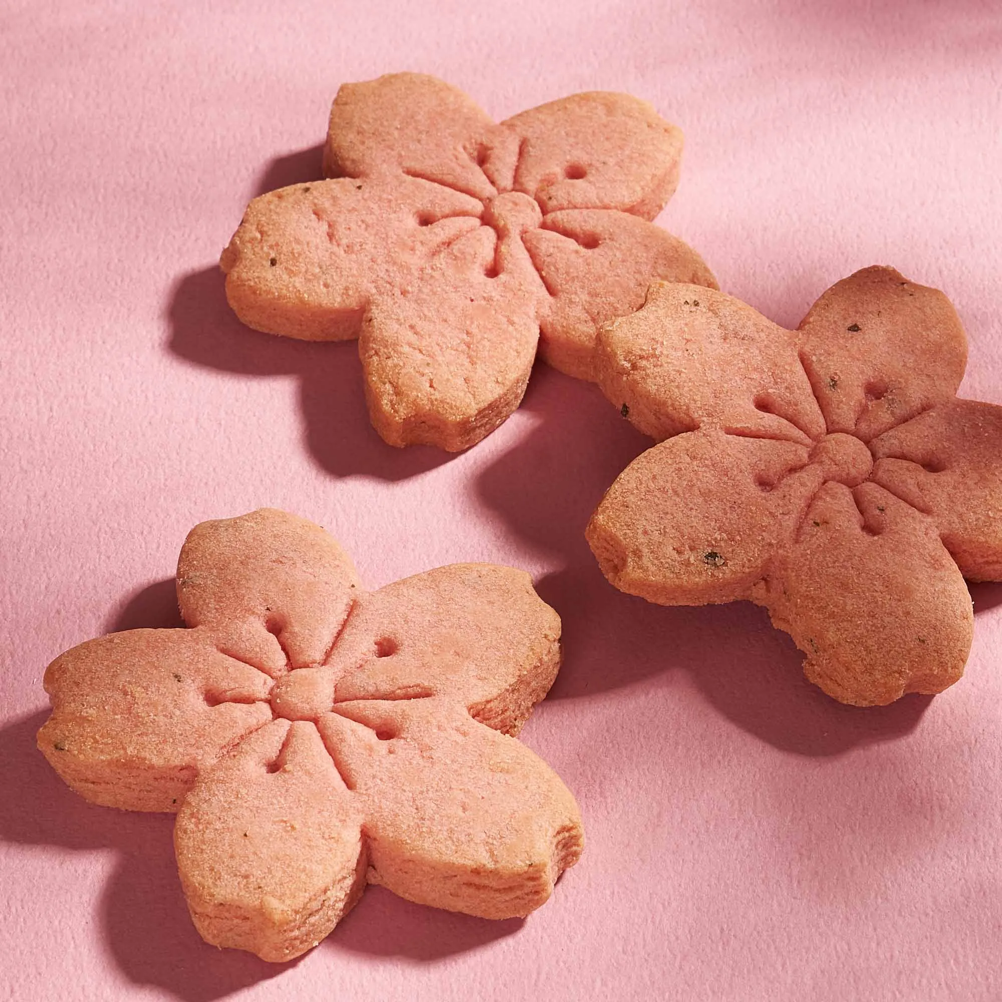 Ohanami Picnic Bag