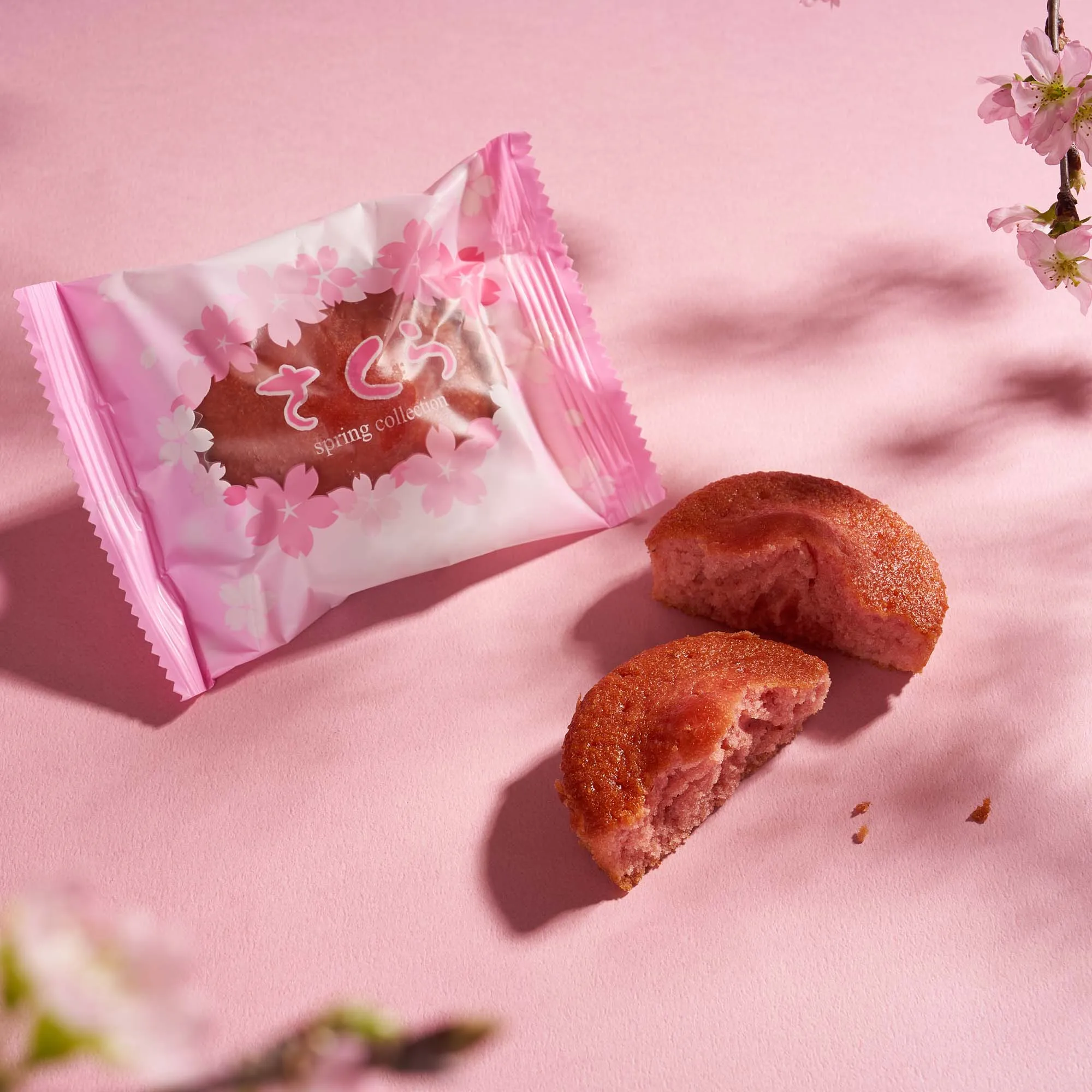 Ohanami Picnic Bag