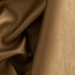 The Moola Accessory Wallet