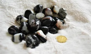 Tumbled Brown/Black  Sardonyx, FB1212